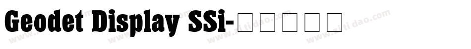 Geodet Display SSi字体转换